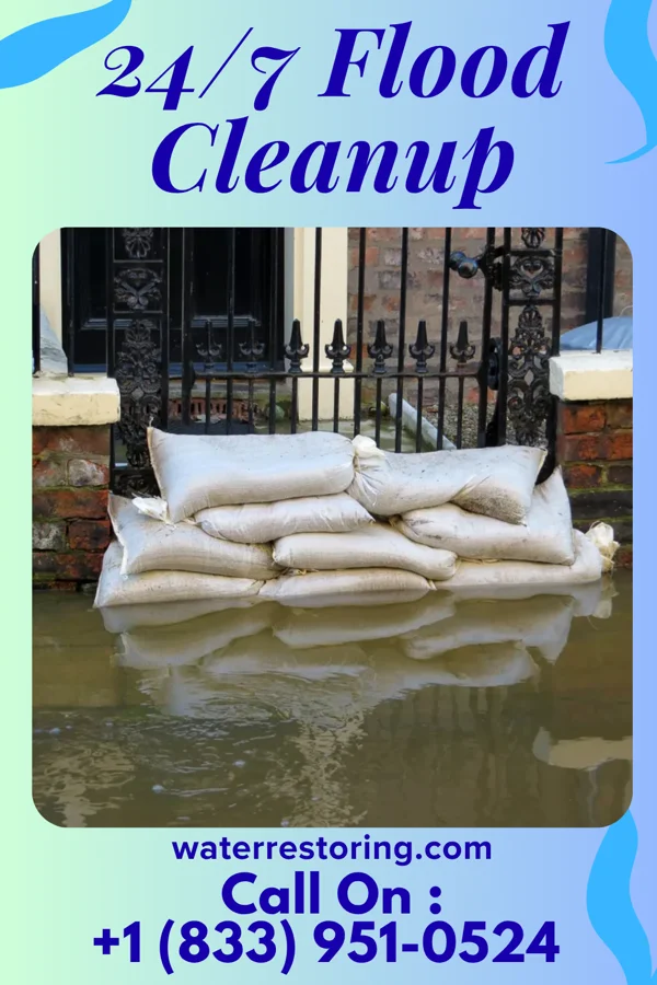 24/7 Flood Cleanup in Mill Creek, WV