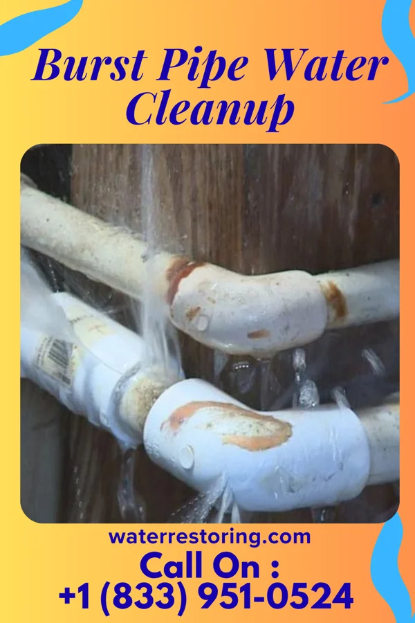 Burst Pipe Water Cleanup in Mill Creek, WV