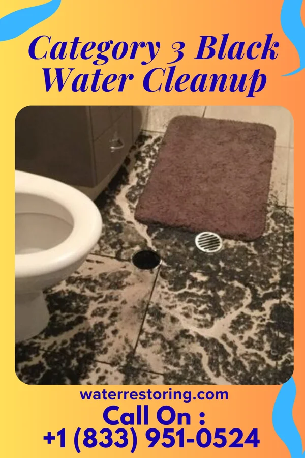 Category 3 Black Water Cleanup in Mill Creek, WV