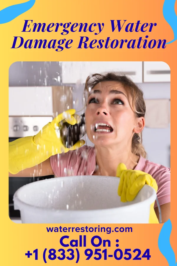 Emergency Water Damage Restoration in Mill Creek, WV