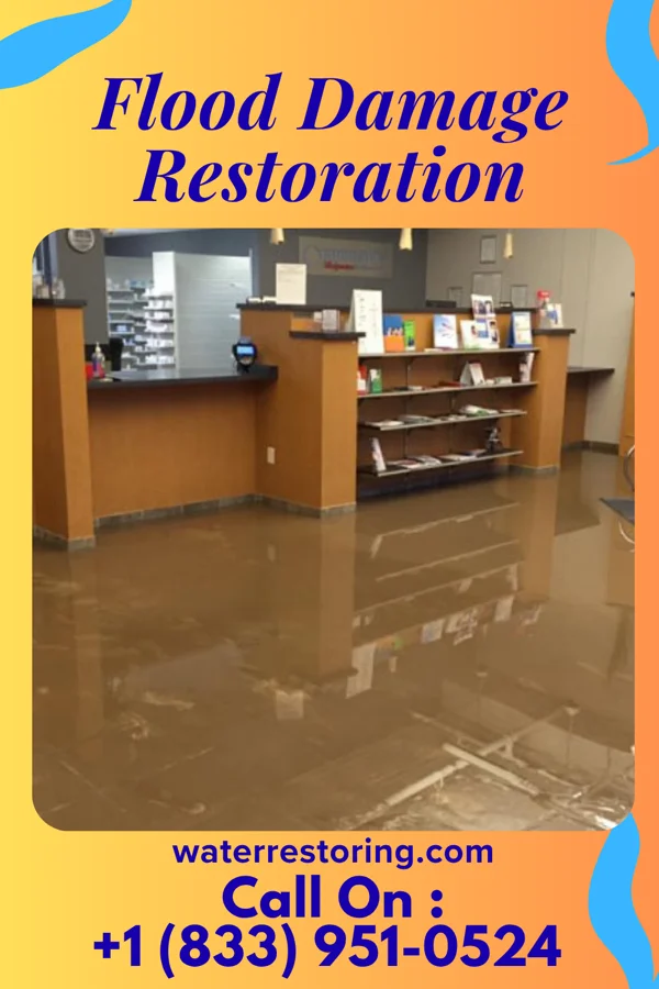 Flood Damage Restoration in Mill Creek, WV