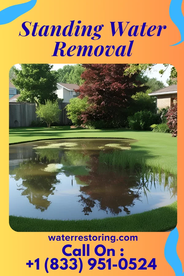 Standing Water Removal in Mill Creek, WV